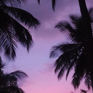 Meet your Posher, Chloe